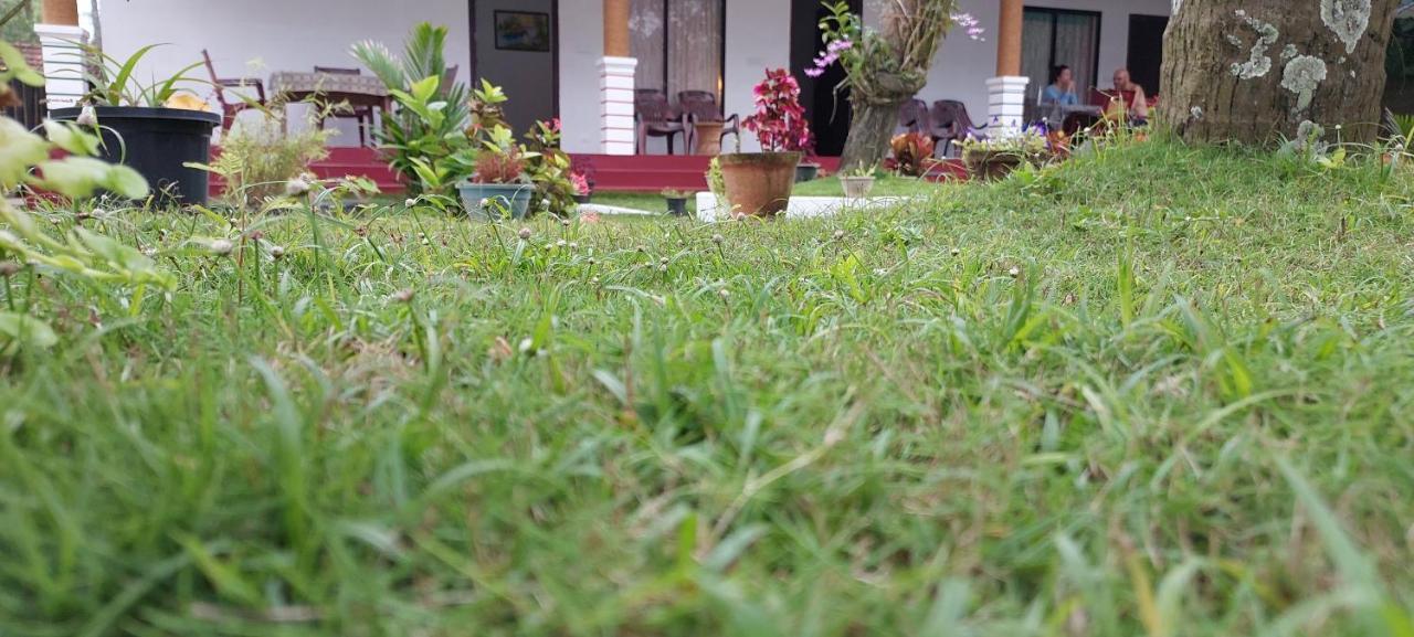 Marari Phoenix Beach Homestay Mararikulam Exterior foto
