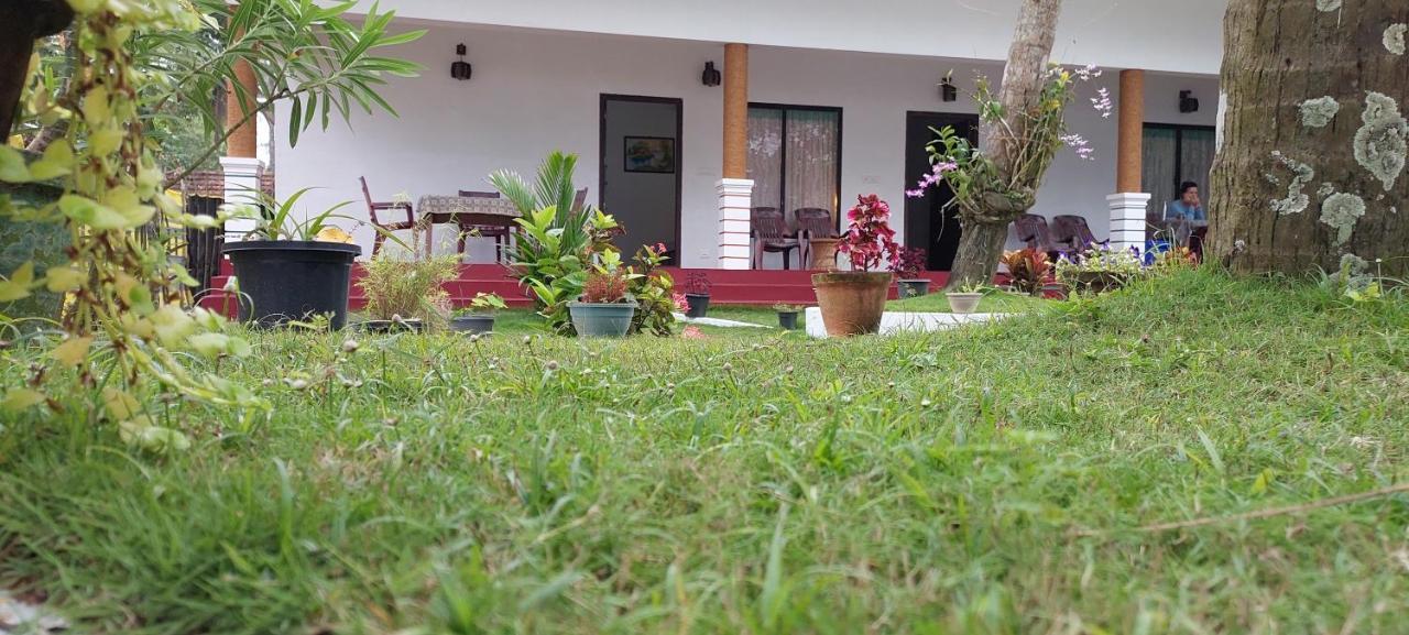 Marari Phoenix Beach Homestay Mararikulam Exterior foto