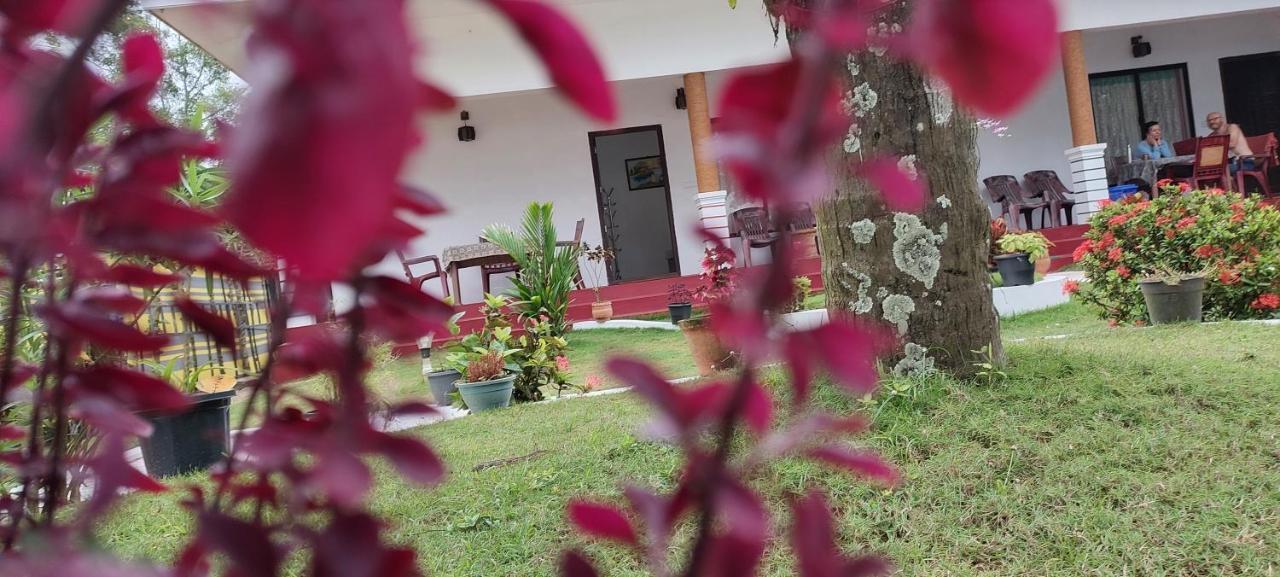 Marari Phoenix Beach Homestay Mararikulam Exterior foto